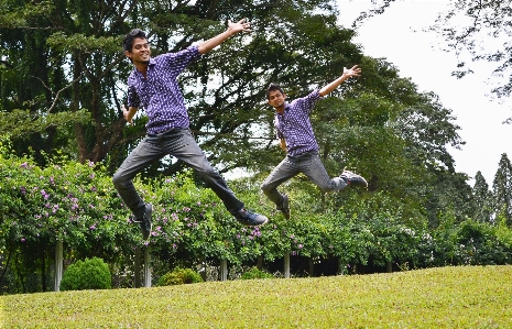 Lawn fly jump jumping Photo