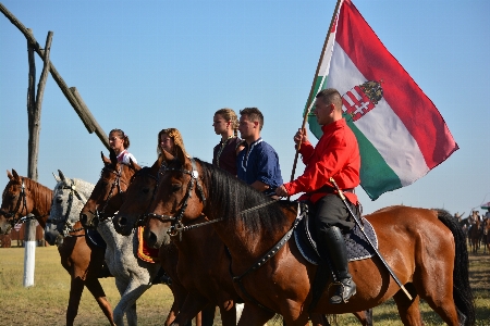 Sports culture jockey tradition Photo