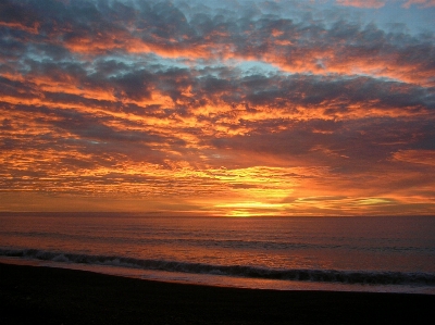 Beach sea coast water Photo