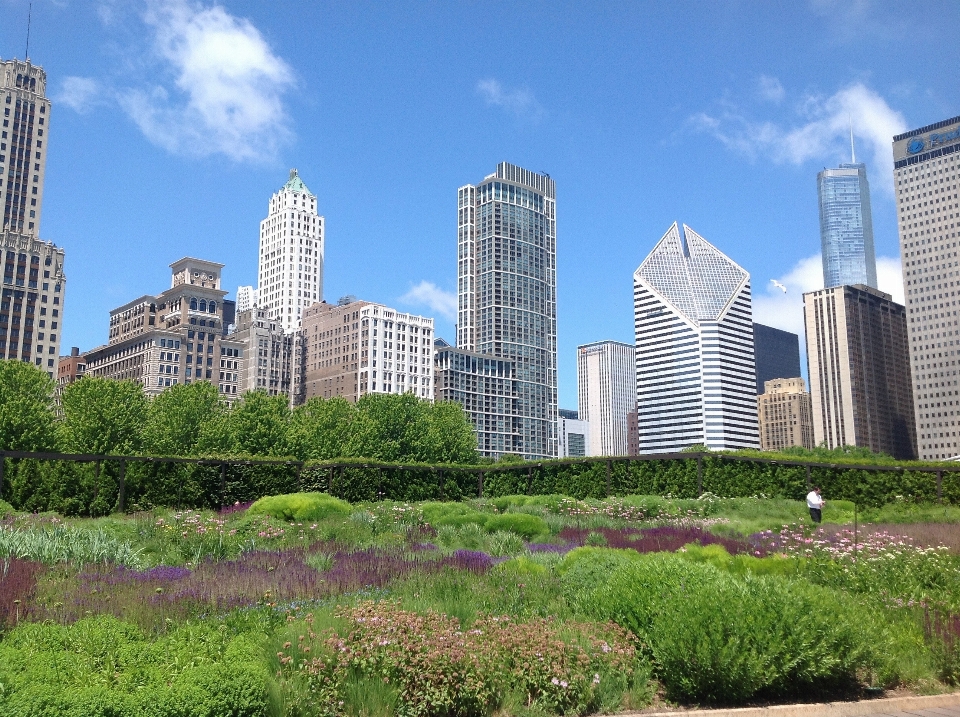 Die architektur horizont blume stadt