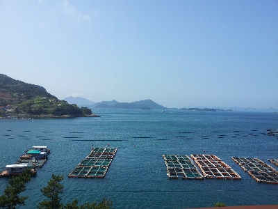 Landscape sea coast ocean Photo