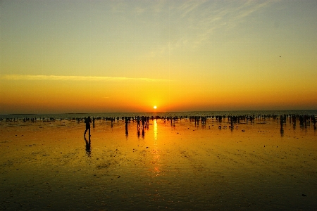 ビーチ 風景 海 海岸 写真