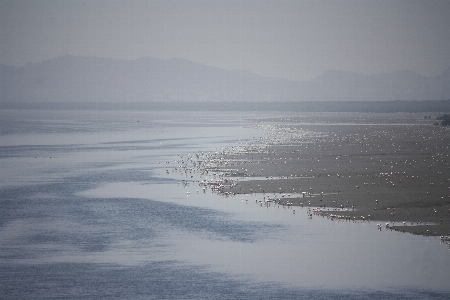 Strand meer küste wasser Foto