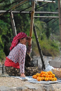 Woman flower orange spring Photo