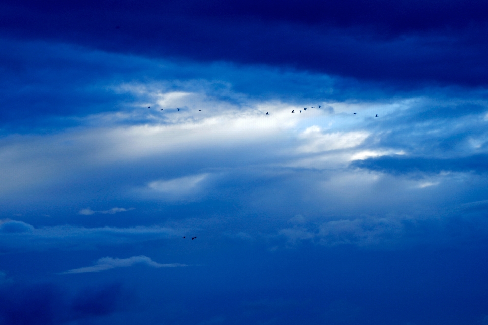 Mare orizzonte leggero nube