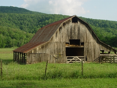 Wood field farm countryside Photo