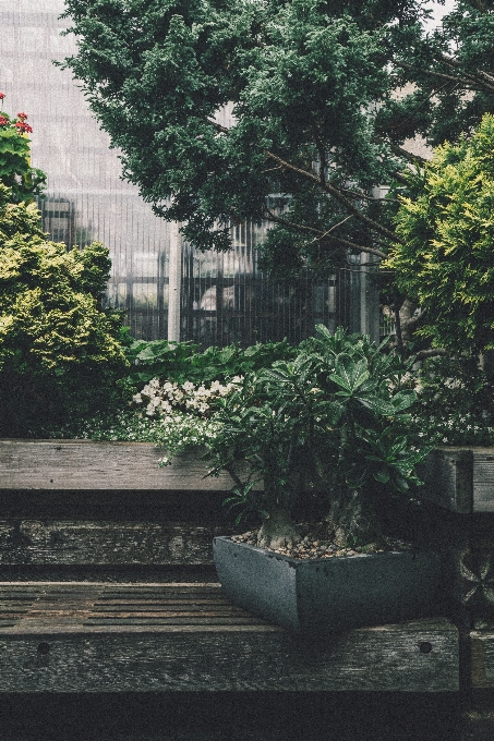 木 建築 植物 ベンチ