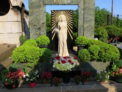 Plant flower paris monument Photo