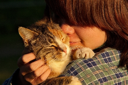 Person people pet kitten Photo