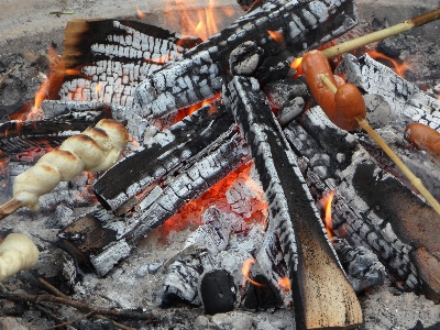 Wood track food fire Photo