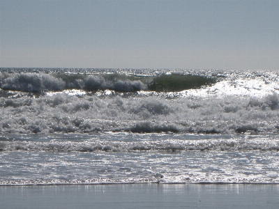 Beach sea coast water Photo