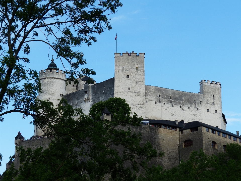 Edificio castillo
 torre castillo