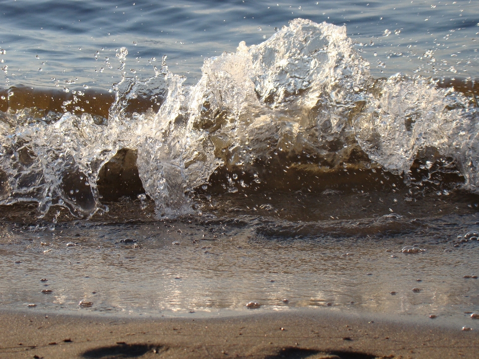 Beach sea coast water