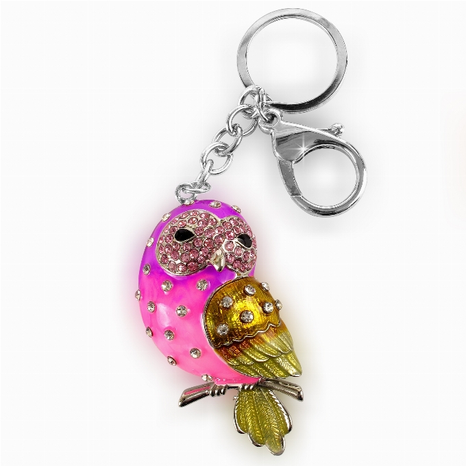 Oiseau couleur rose porte-clés
