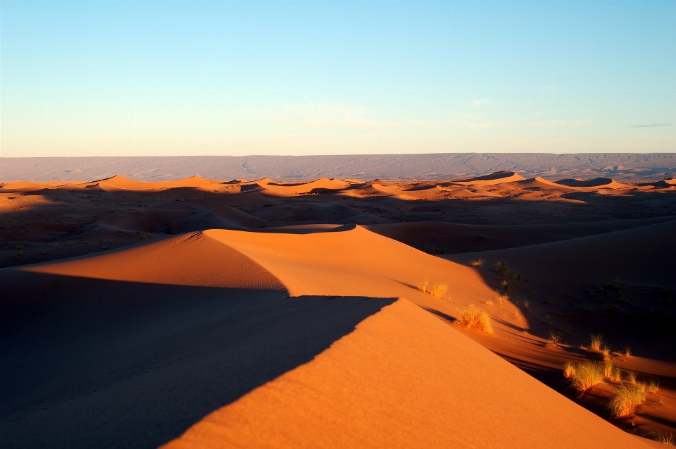 Landscape nature sand horizon