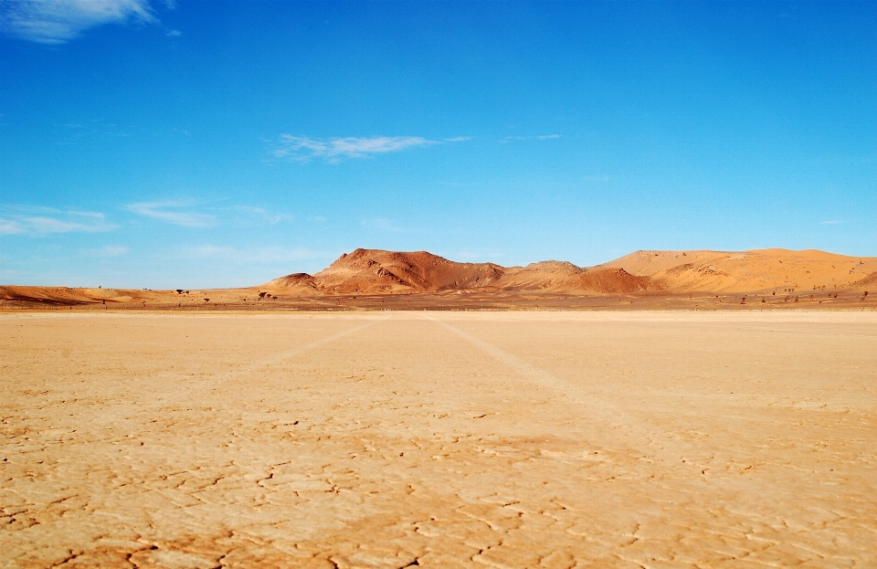 Landscape nature sand horizon