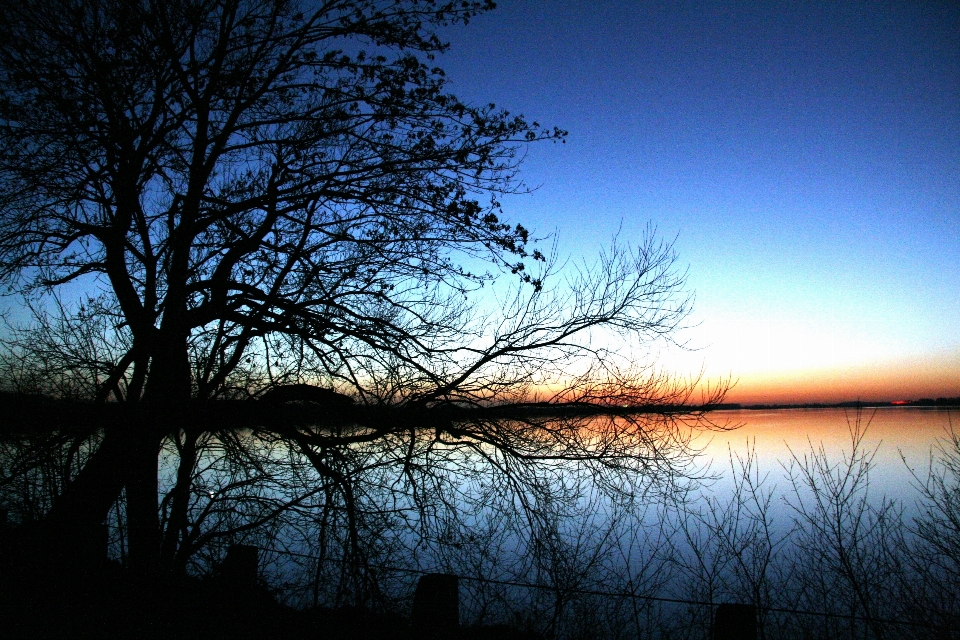 Landscape tree nature horizon