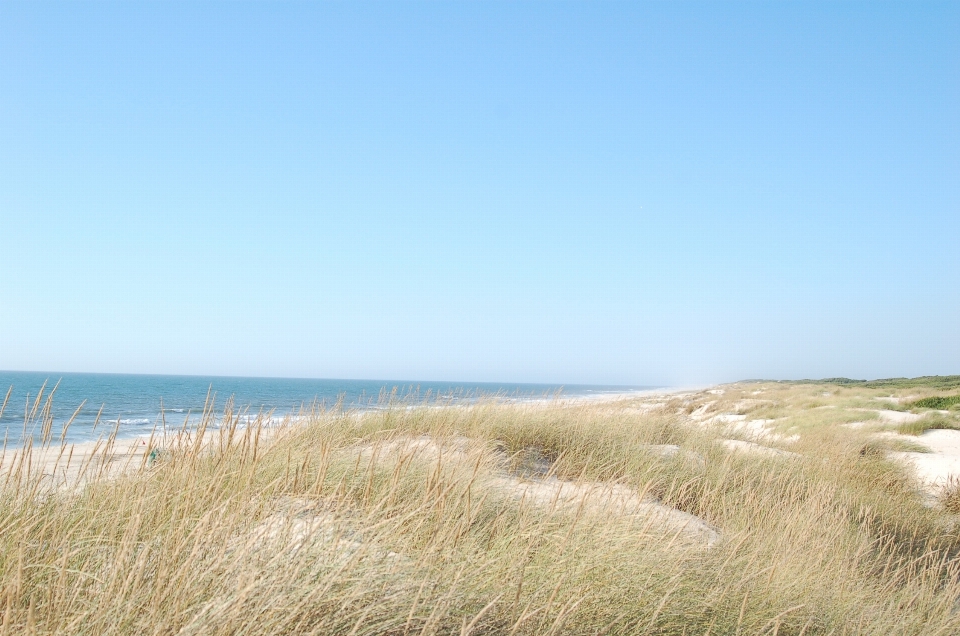 Beach landscape sea coast