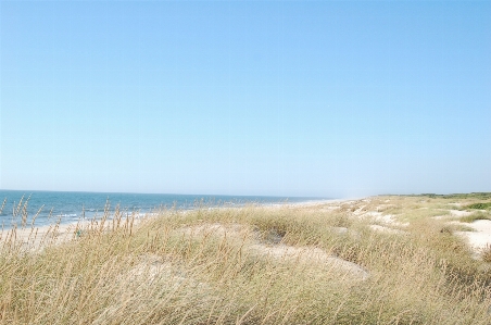 Beach landscape sea coast Photo