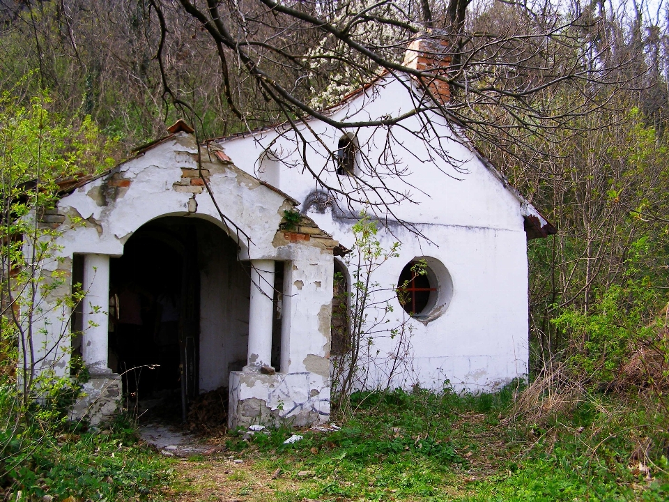 家 建物 小屋 村