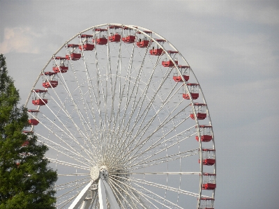 Structure wheel round steel Photo