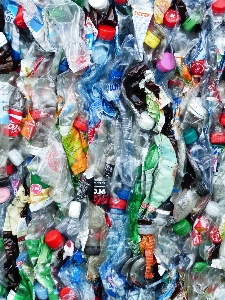 Plastic pet bottles waste Photo