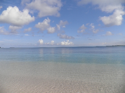 Beach sea coast water Photo