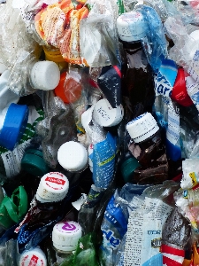 Plastic pet bottles waste Photo