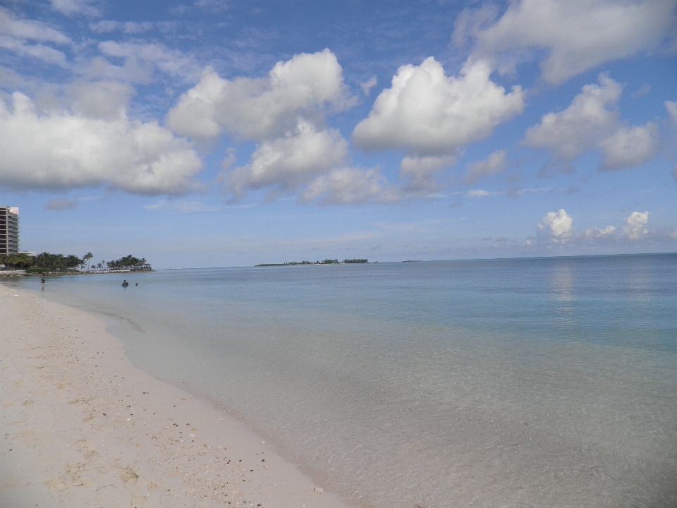 Beach sea coast nature