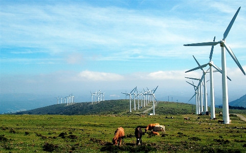 Foto Paisaje naturaleza cielo campo