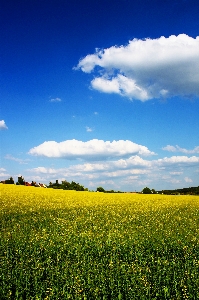 Landscape nature grass outdoor Photo