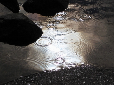 Foto água natureza asa luz