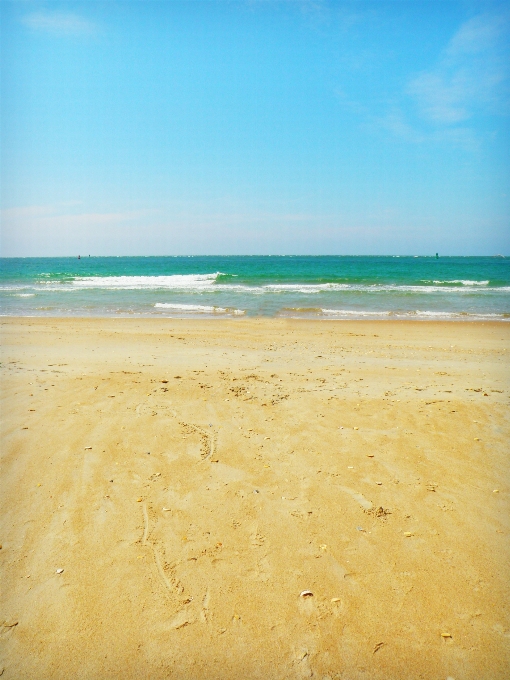 ビーチ 海 海岸 自然