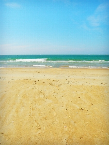 Beach sea coast nature Photo