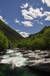 Landscape tree water nature Photo