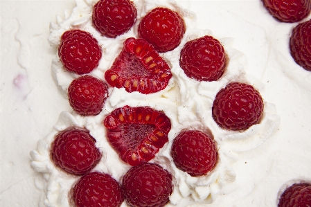 Plant white raspberry fruit Photo