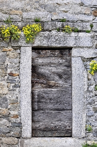 Rock wood wall stone Photo