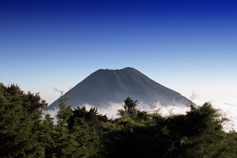 風景 自然 森 荒野
