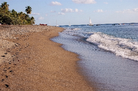 Beach sea coast water Photo