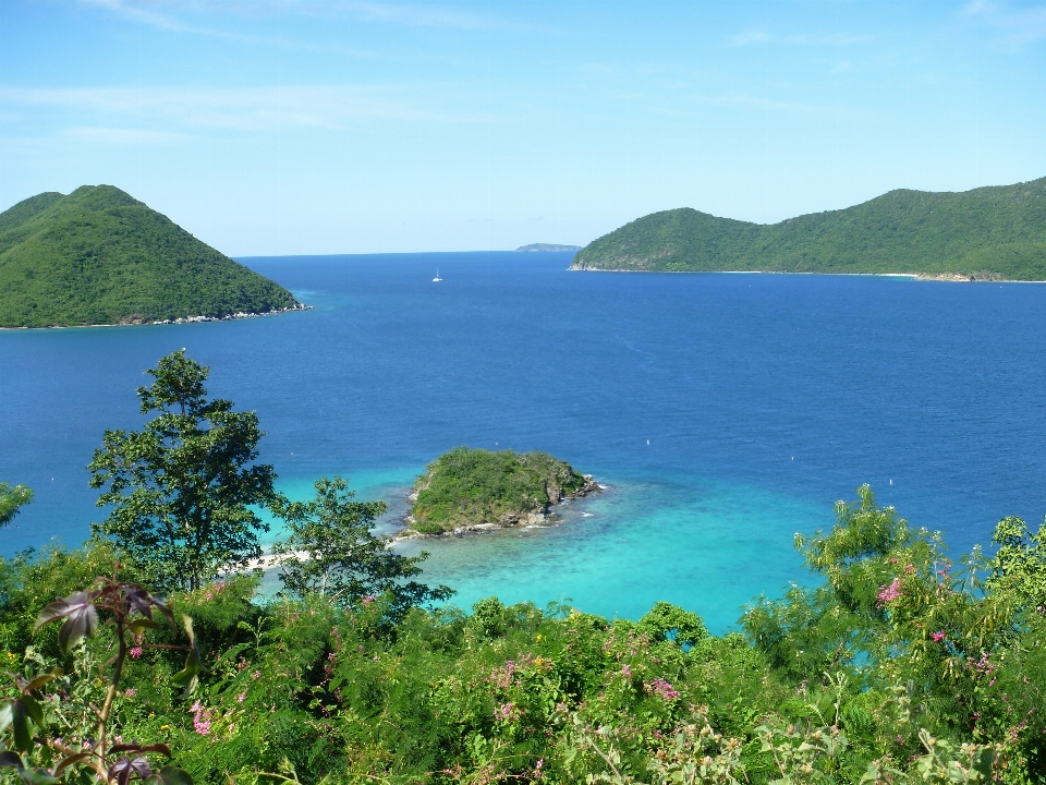 Beach landscape sea coast