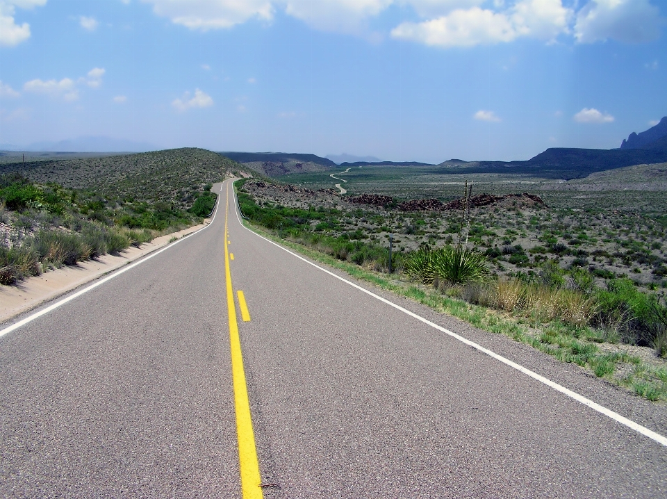 Landscape nature grass road