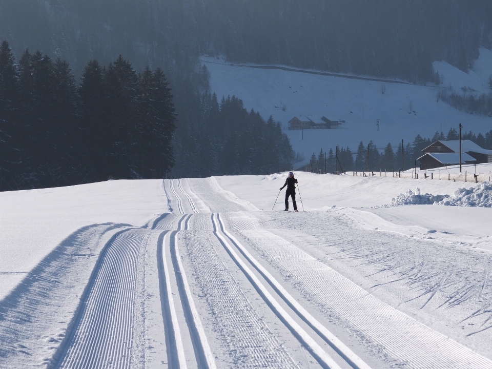 Nevicare inverno sentiero veicolo