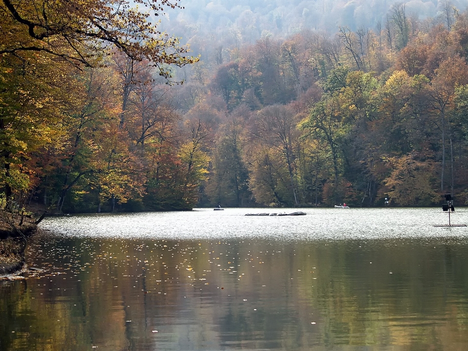 Paisagem árvore água natureza