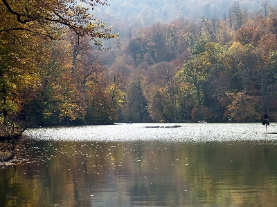 Landscape tree water nature Photo