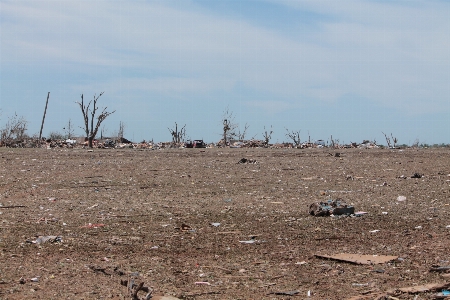 Foto Paisagem mar areia região selvagem
