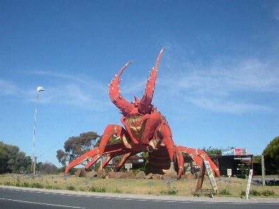 Vehicle lobster australia sculpture Photo