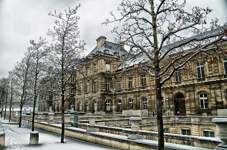 树 雪 冬天 建筑学 照片