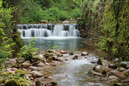 Foto água floresta cachoeira riacho
