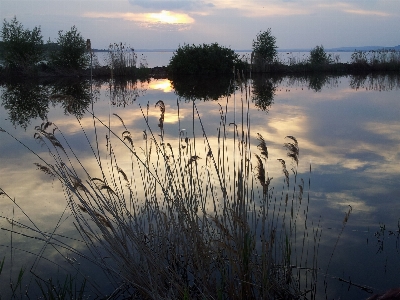 Landscape sea tree water Photo