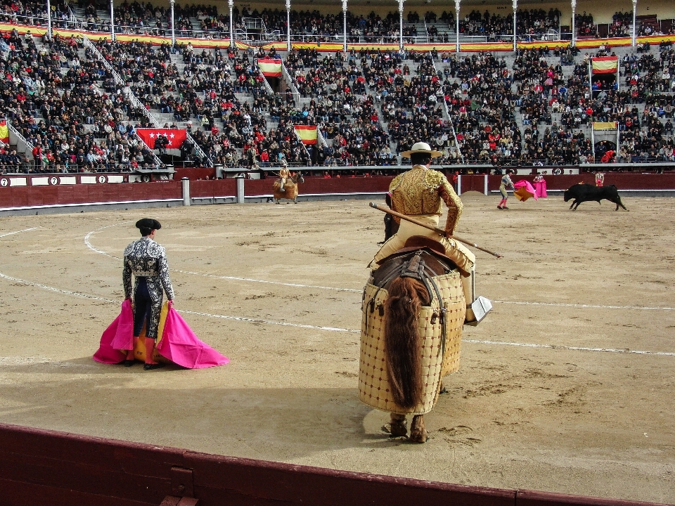 プラザ
 スペイン スポーツ パフォーマンス